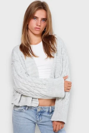Meet Me There Gilets Et Pulls*Cardigan "Maille Torsadee" Gris