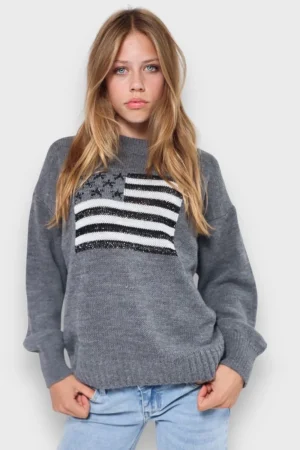 Meet Me There Gilets Et Pulls*Pull "Drapeau Paillete" Gris
