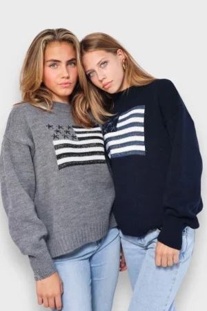Meet Me There Gilets Et Pulls*Pull "Drapeau Paillete" Marine